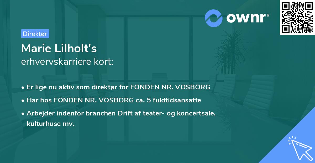 Marie Lilholt's erhvervskarriere kort