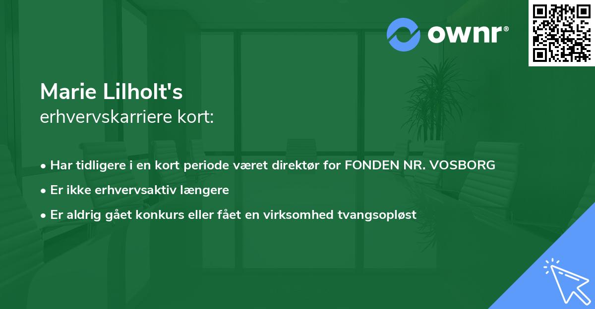 Marie Lilholt's erhvervskarriere kort