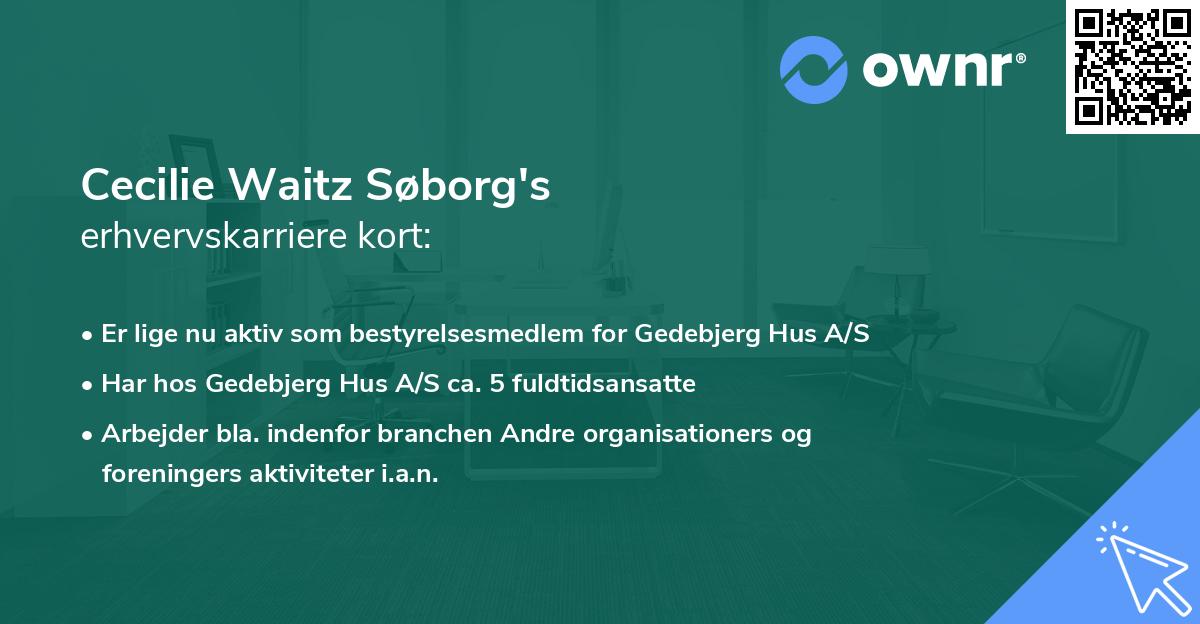 Cecilie Waitz Søborg's erhvervskarriere kort