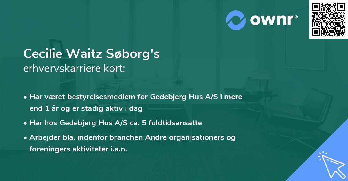Cecilie Waitz Søborg's erhvervskarriere kort