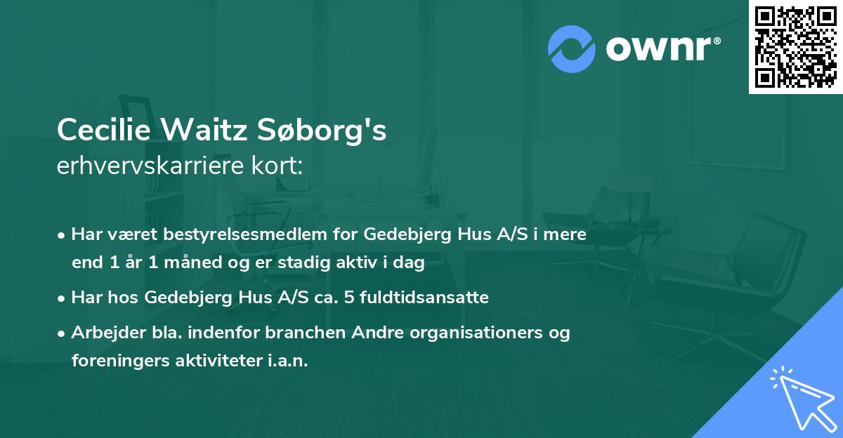 Cecilie Waitz Søborg's erhvervskarriere kort