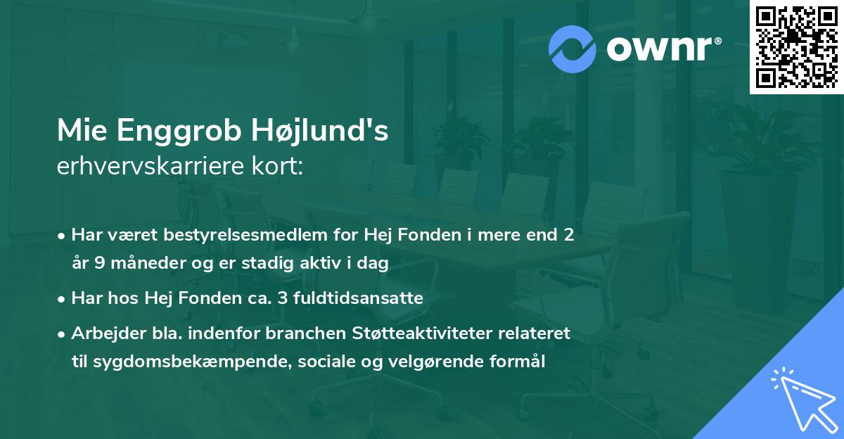 Mie Enggrob Højlund's erhvervskarriere kort