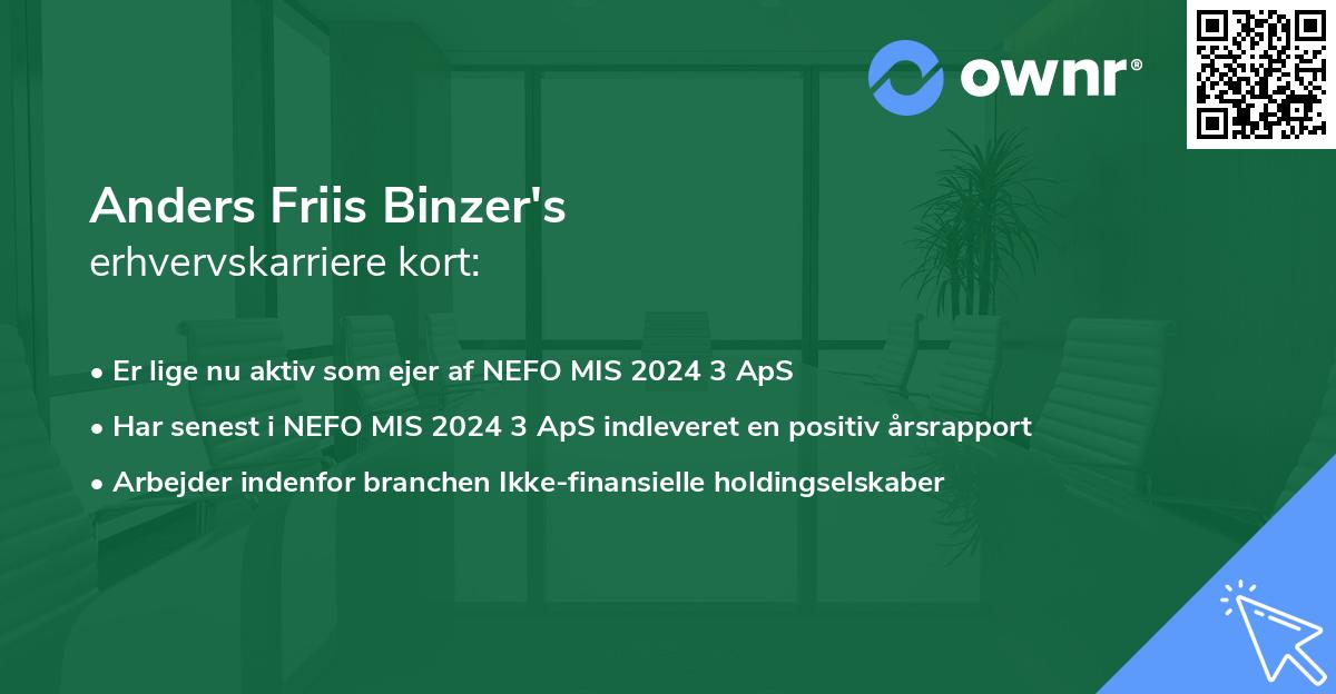 Anders Friis Binzer's erhvervskarriere kort