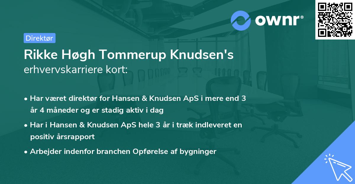Rikke Høgh Tommerup Knudsen's erhvervskarriere kort