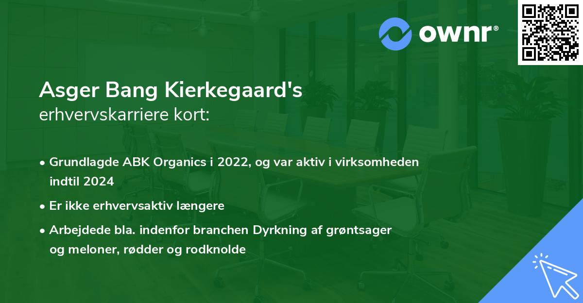 Asger Bang Kierkegaard's erhvervskarriere kort