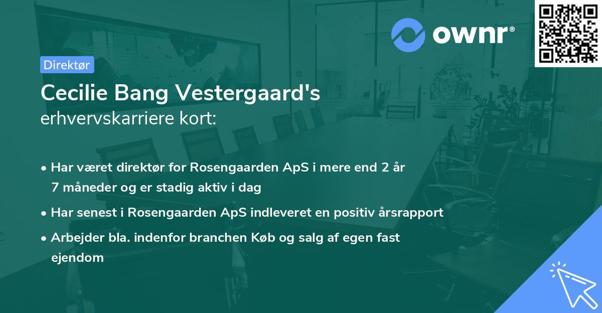Cecilie Bang Vestergaard's erhvervskarriere kort