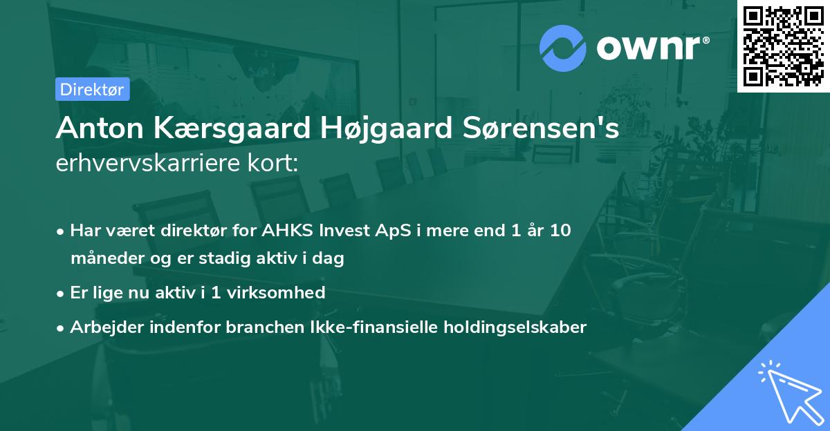 Anton Kærsgaard Højgaard Sørensen's erhvervskarriere kort