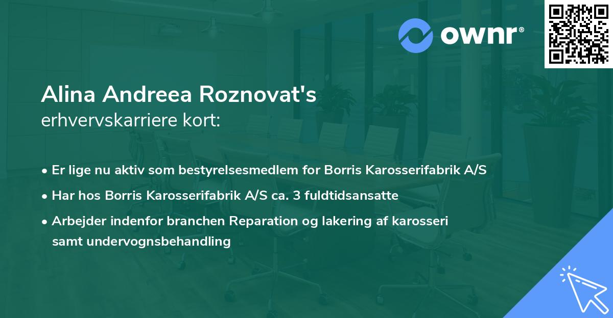 Alina Andreea Roznovat's erhvervskarriere kort