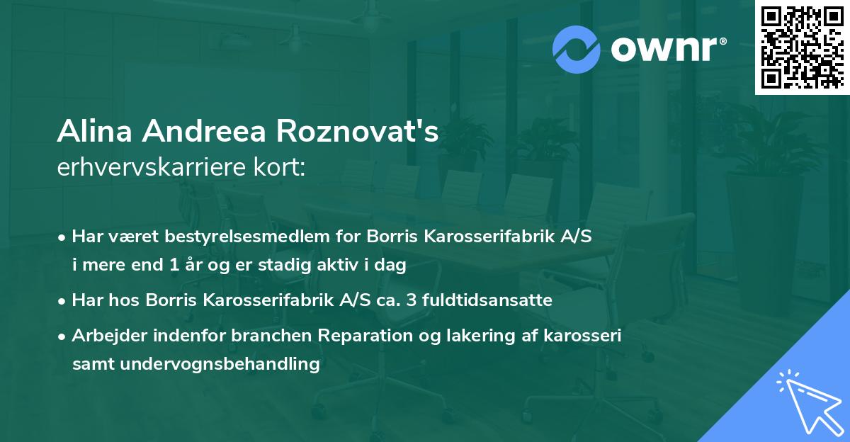 Alina Andreea Roznovat's erhvervskarriere kort