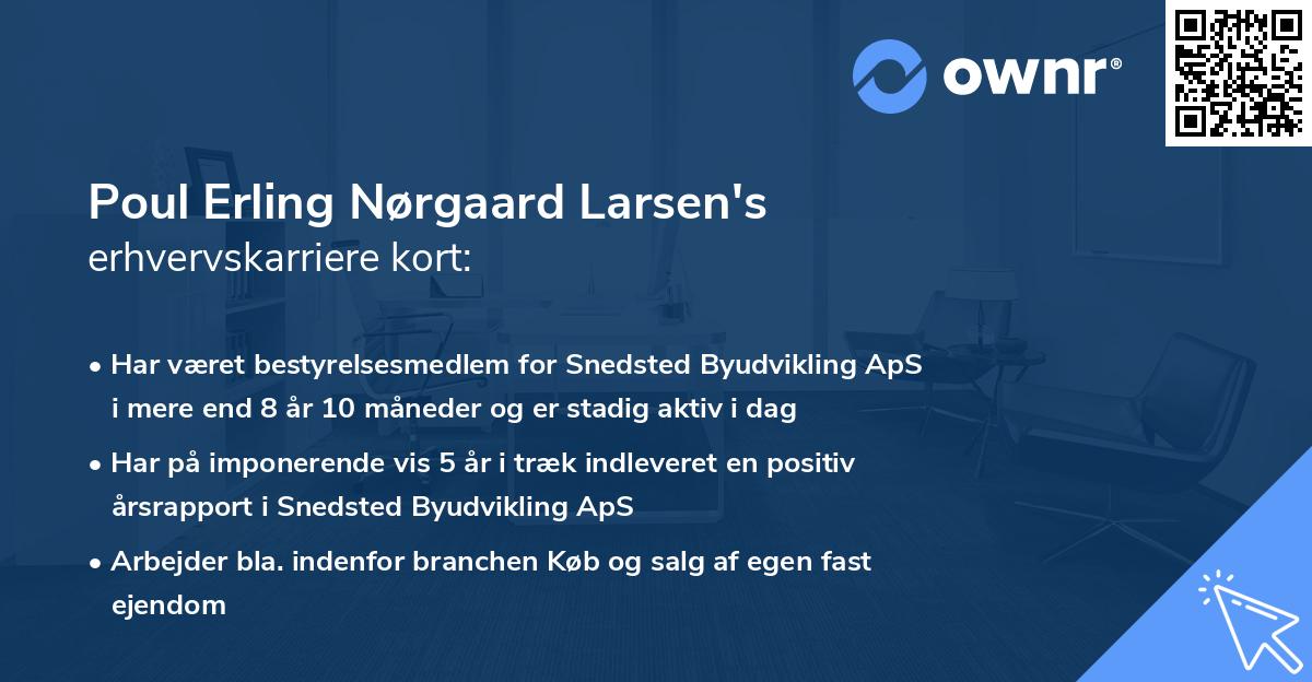 Poul Erling Nørgaard Larsen's erhvervskarriere kort