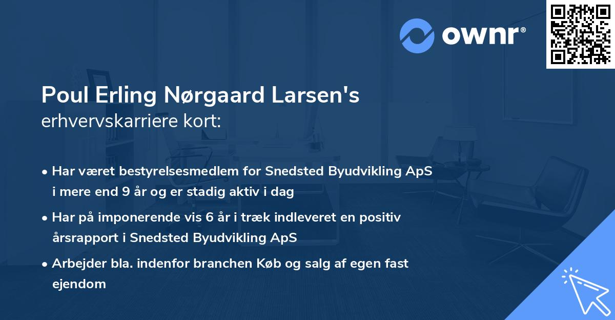 Poul Erling Nørgaard Larsen's erhvervskarriere kort