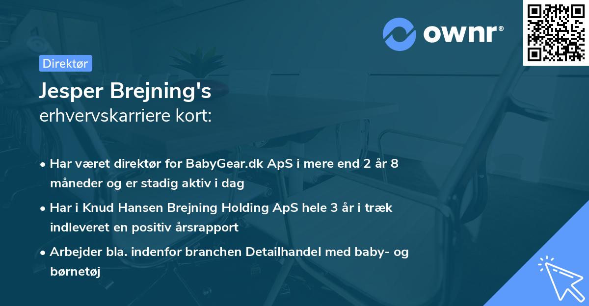 Jesper Brejning's erhvervskarriere kort