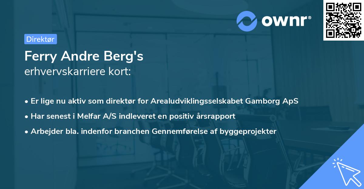 Ferry Andre Berg's erhvervskarriere kort