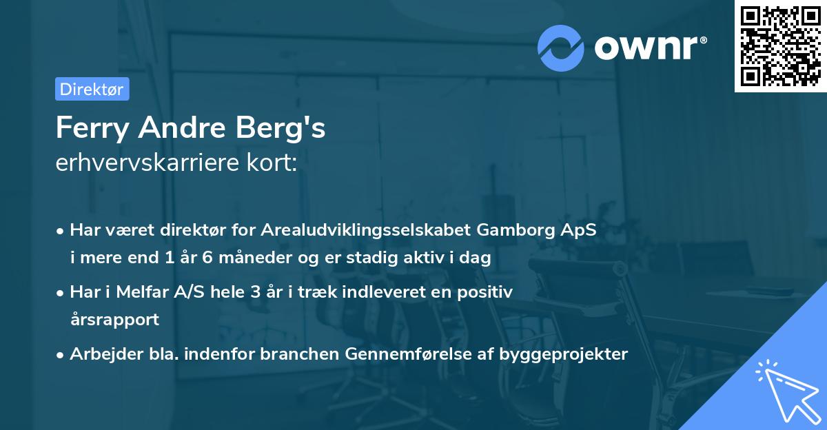 Ferry Andre Berg's erhvervskarriere kort