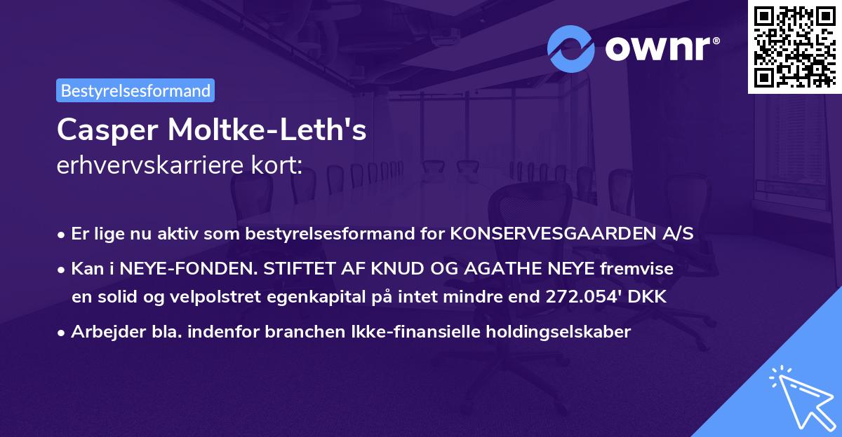 Casper Moltke-Leth's erhvervskarriere kort