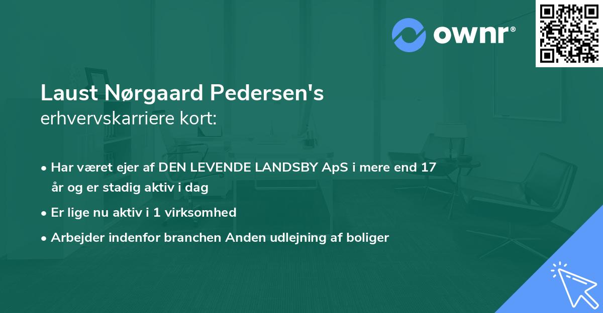 Laust Nørgaard Pedersen's erhvervskarriere kort