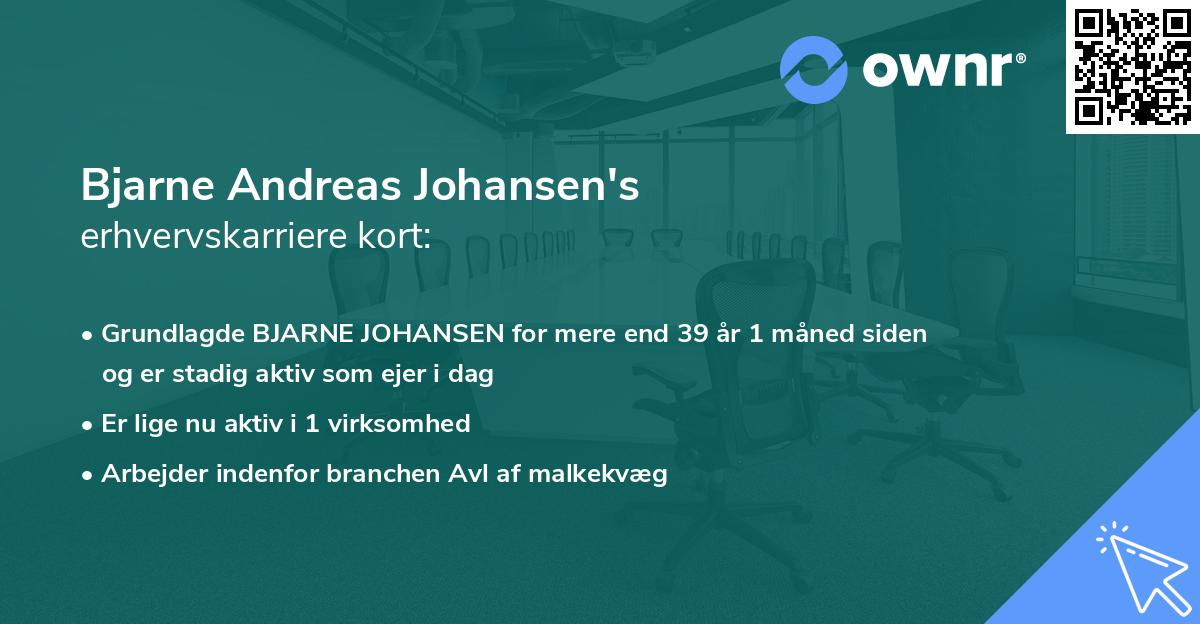 Bjarne Andreas Johansen's erhvervskarriere kort