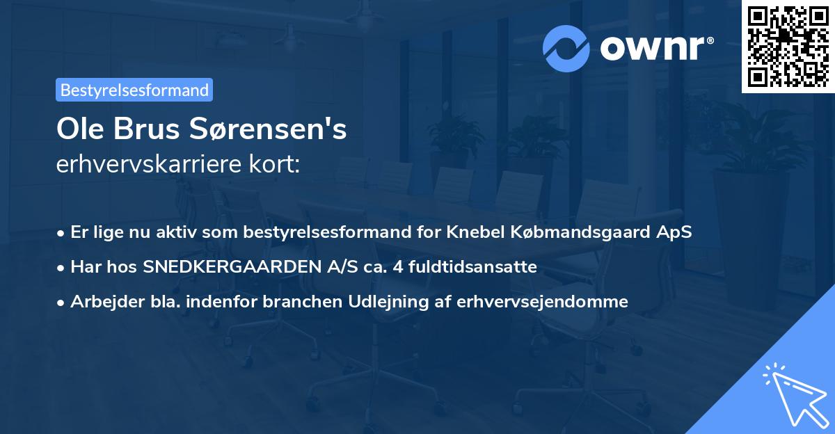 Ole Brus Sørensen's erhvervskarriere kort