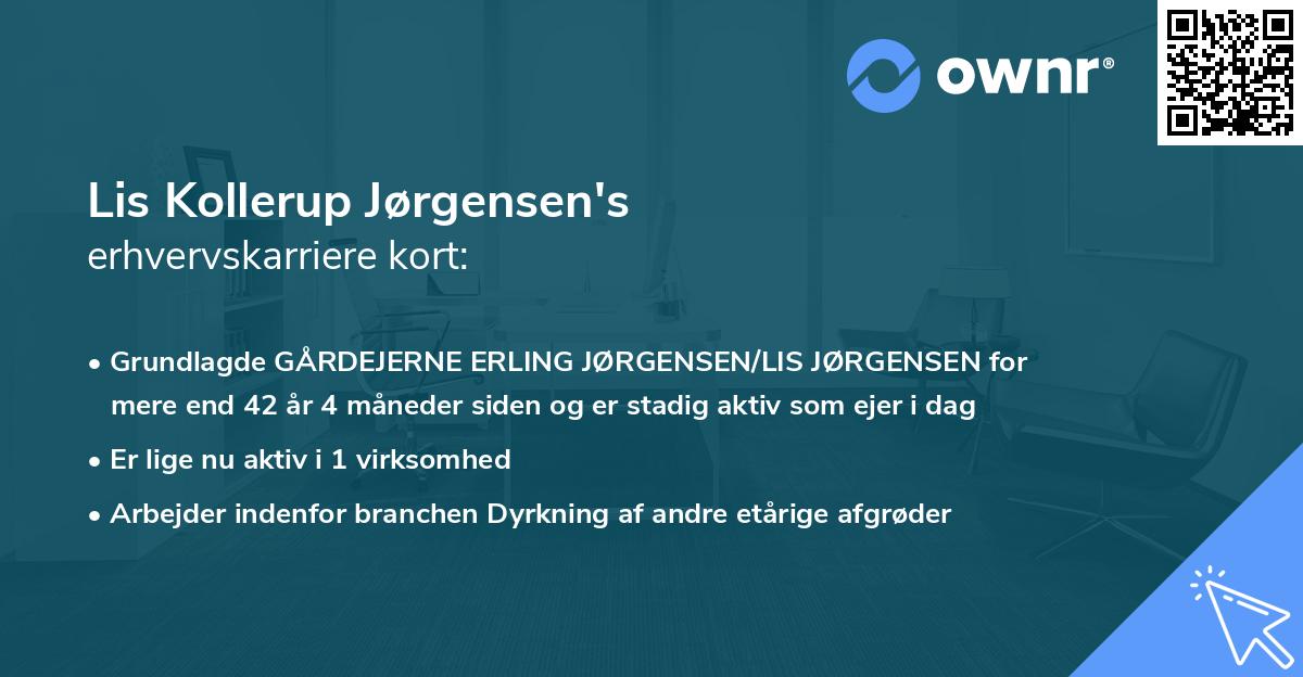 Lis Kollerup Jørgensen's erhvervskarriere kort