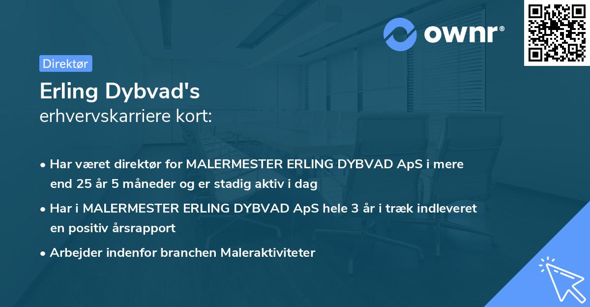 Erling Dybvad's erhvervskarriere kort