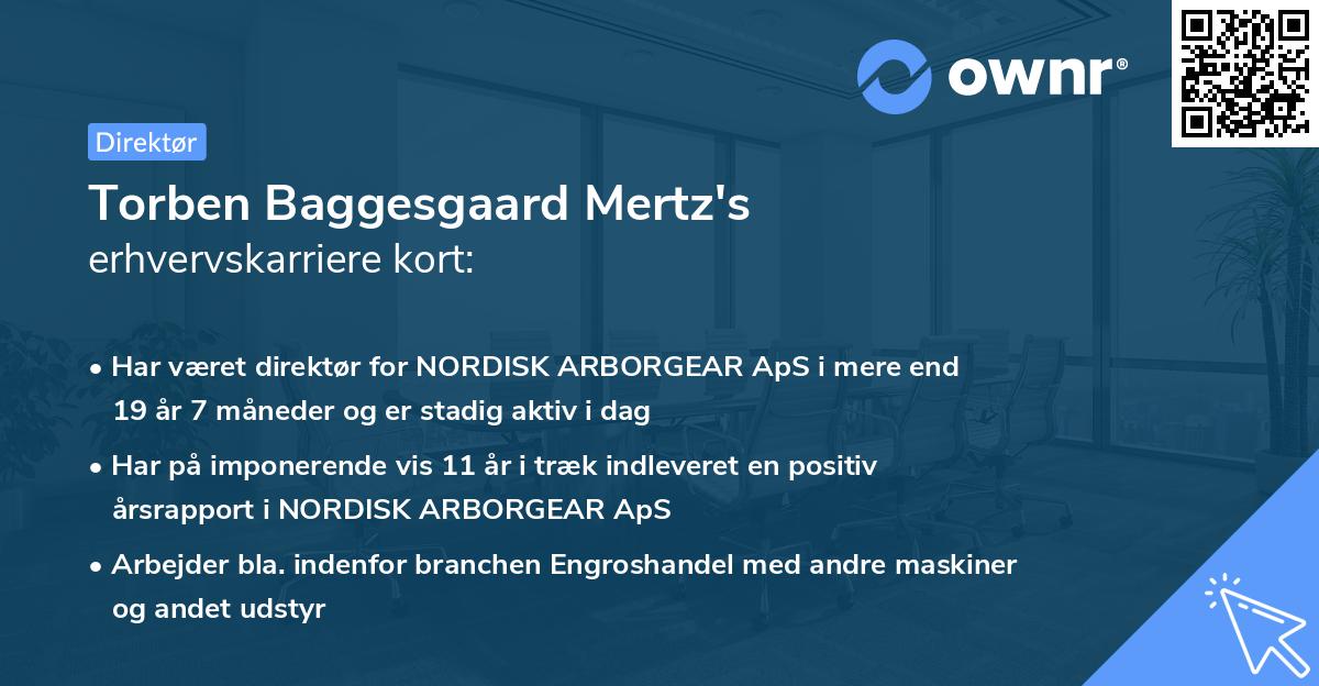 Torben Baggesgaard Mertz's erhvervskarriere kort