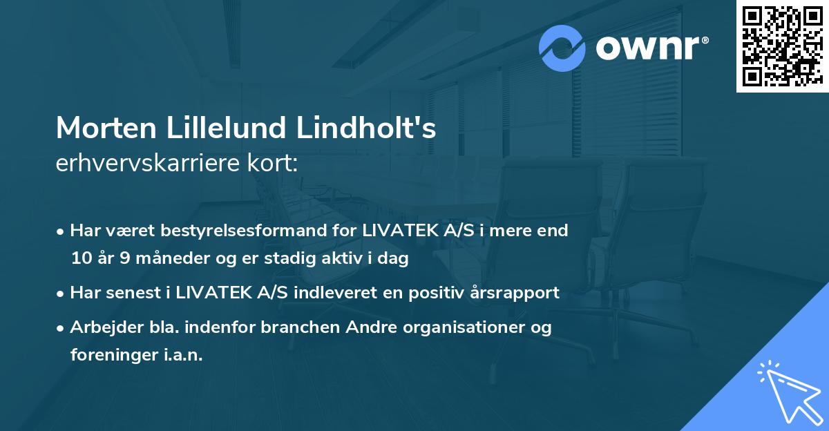 Morten Lillelund Lindholt's erhvervskarriere kort