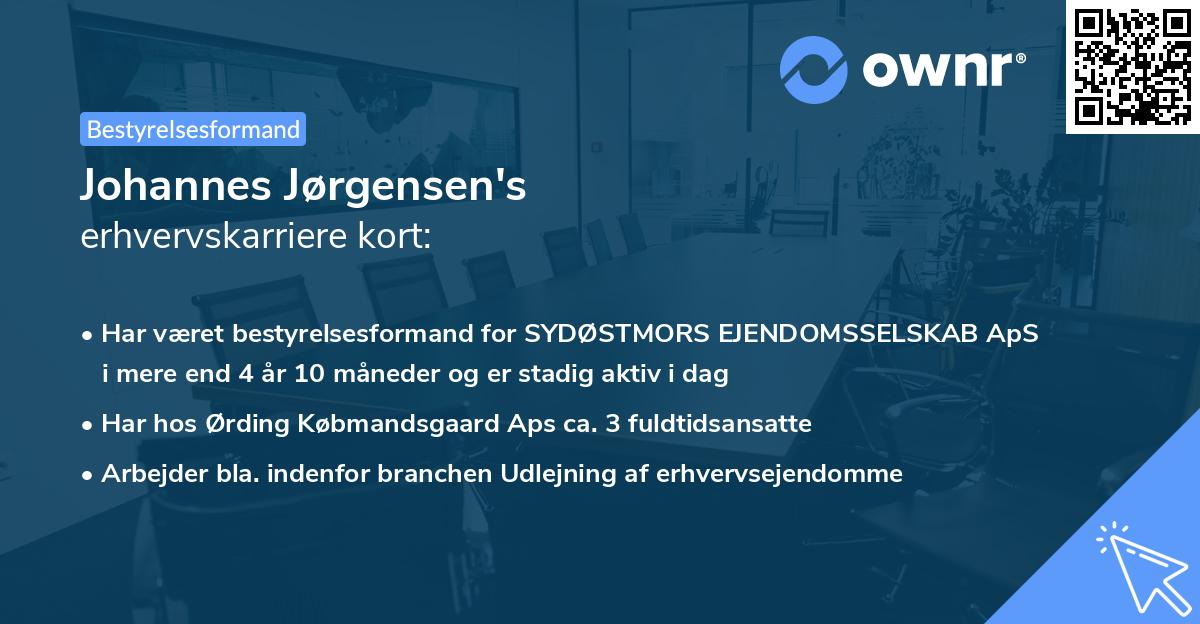 Johannes Jørgensen's erhvervskarriere kort
