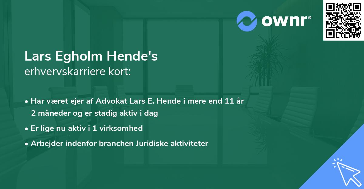Lars Egholm Hende's erhvervskarriere kort