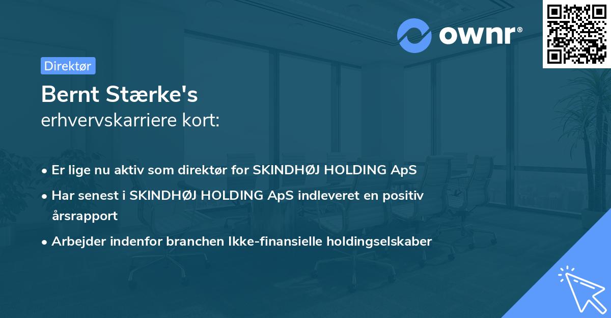 Bernt Stærke's erhvervskarriere kort