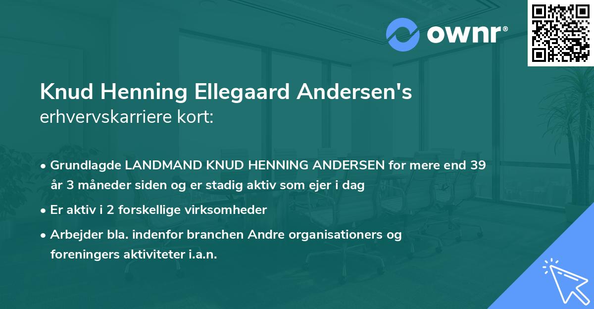 Knud Henning Ellegaard Andersen's erhvervskarriere kort