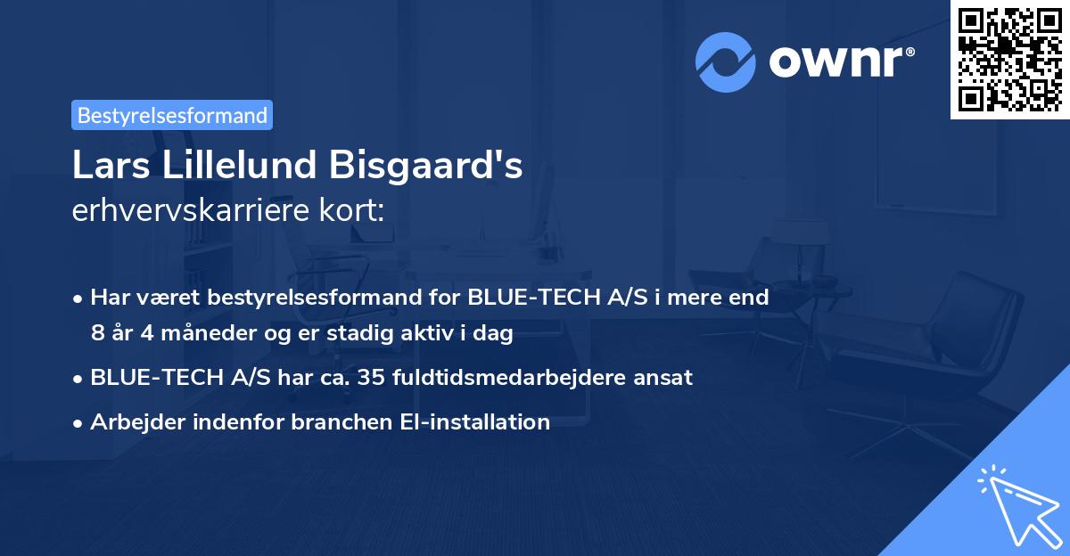 Lars Lillelund Bisgaard's erhvervskarriere kort
