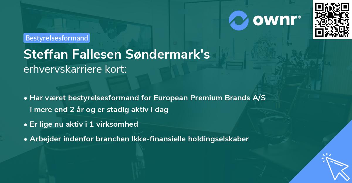Steffan Fallesen Søndermark's erhvervskarriere kort