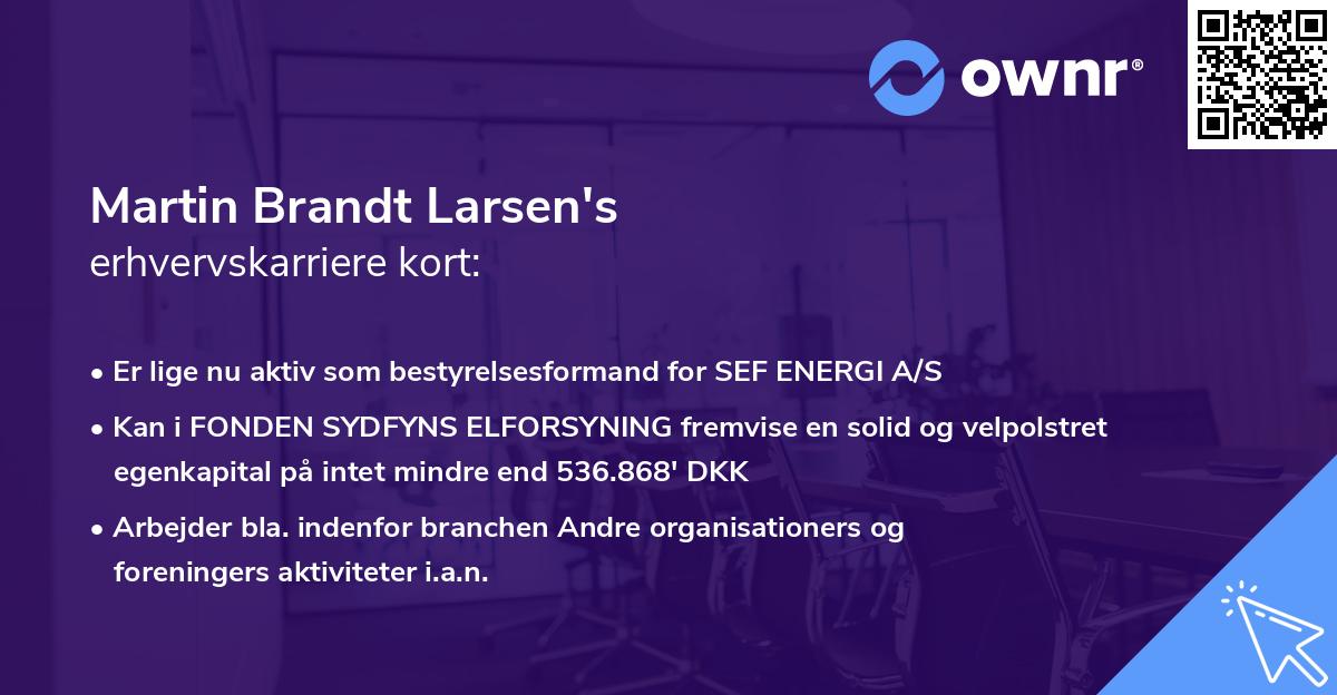 Martin Brandt Larsen's erhvervskarriere kort