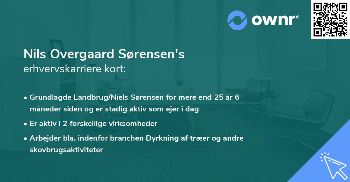 Nils Overgaard Sørensen's erhvervskarriere kort