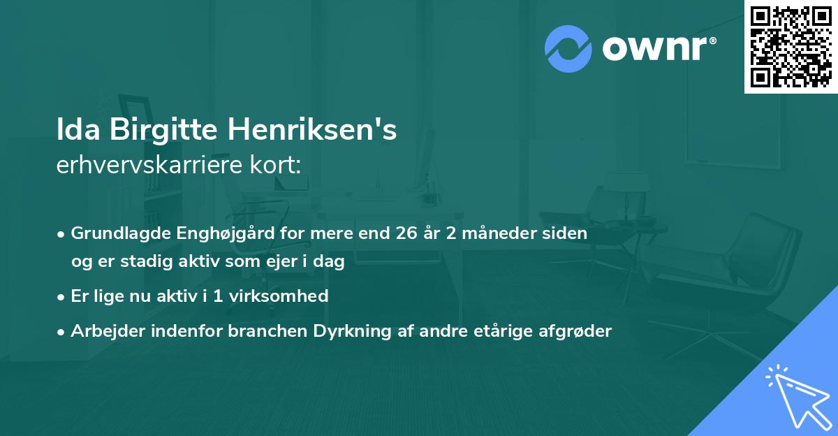 Ida Birgitte Henriksen's erhvervskarriere kort
