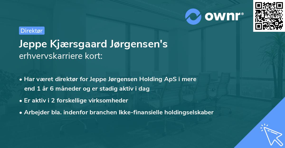 Jeppe Kjærsgaard Jørgensen's erhvervskarriere kort