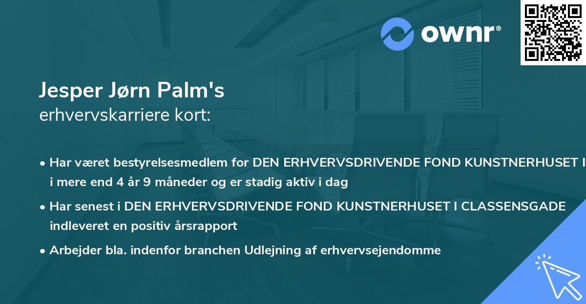 Jesper Jørn Palm's erhvervskarriere kort