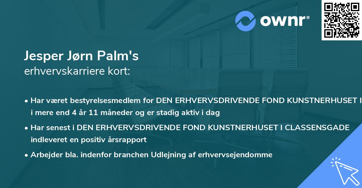 Jesper Jørn Palm's erhvervskarriere kort