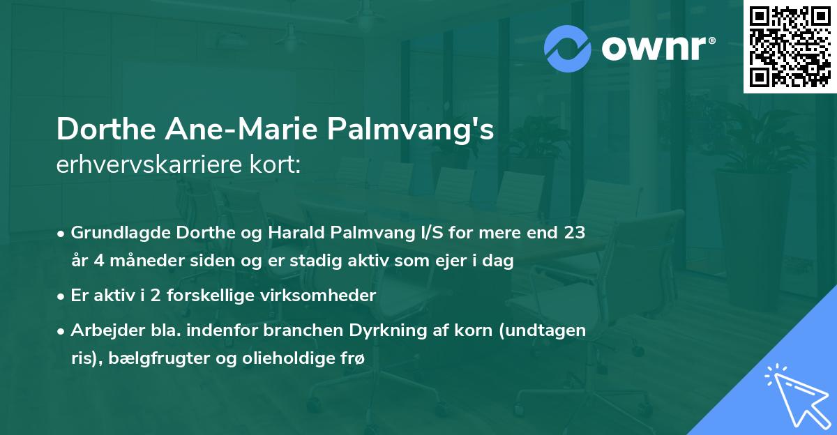Dorthe Ane-Marie Palmvang's erhvervskarriere kort