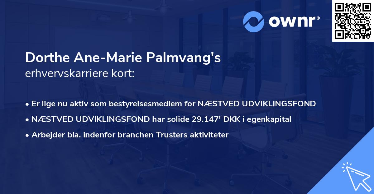Dorthe Ane-Marie Palmvang's erhvervskarriere kort