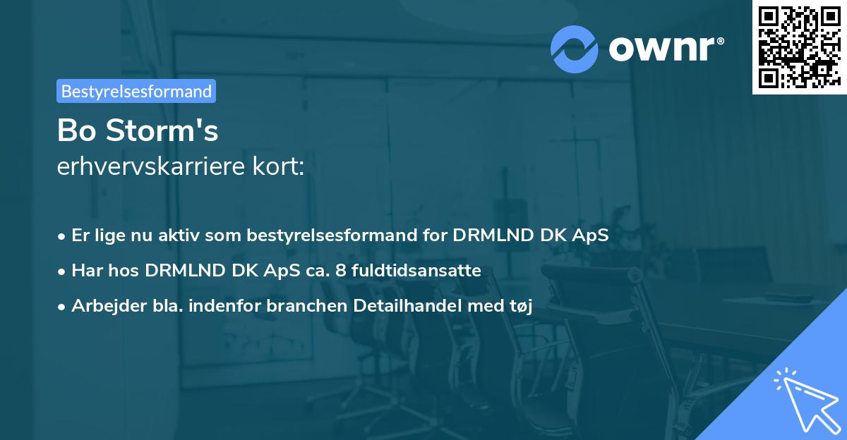 Bo Storm's erhvervskarriere kort