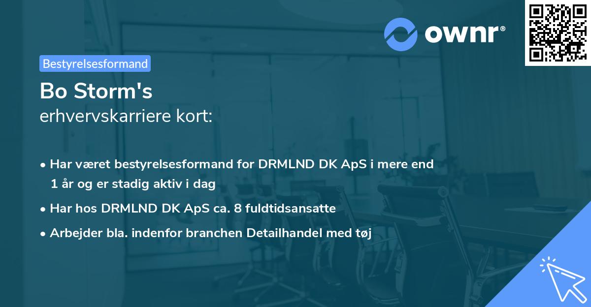 Bo Storm's erhvervskarriere kort