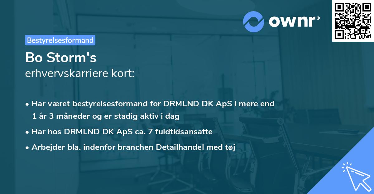 Bo Storm's erhvervskarriere kort
