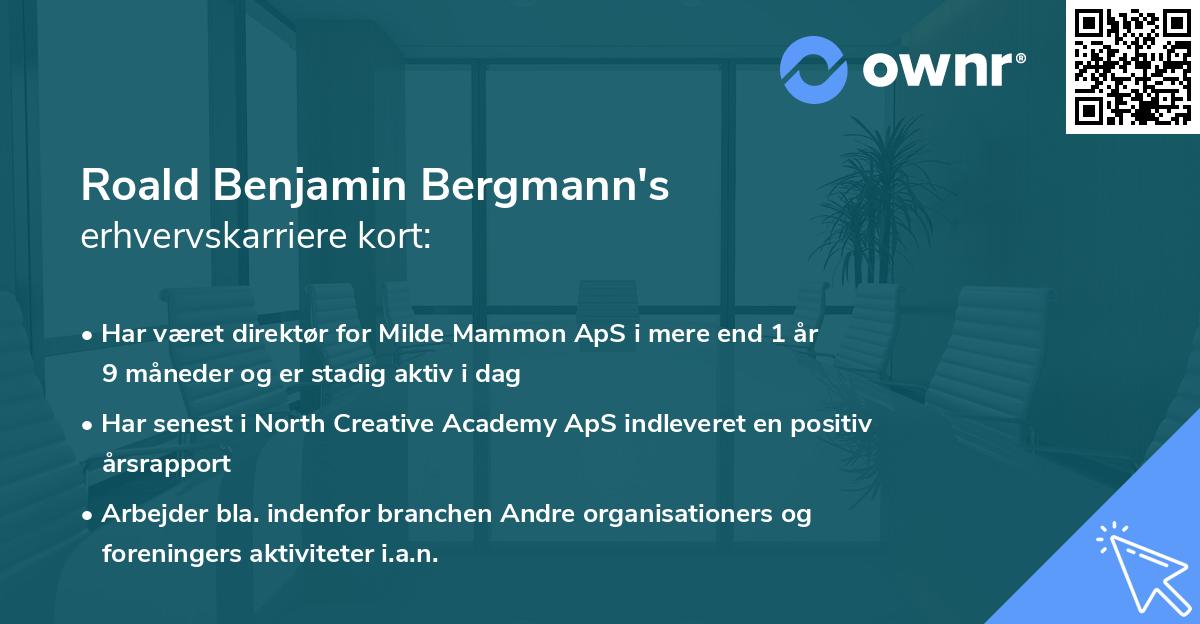 Roald Benjamin Bergmann's erhvervskarriere kort