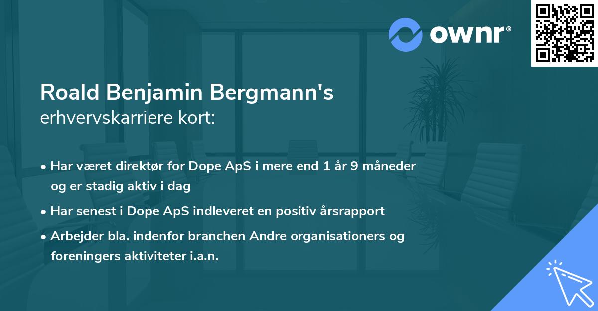 Roald Benjamin Bergmann's erhvervskarriere kort