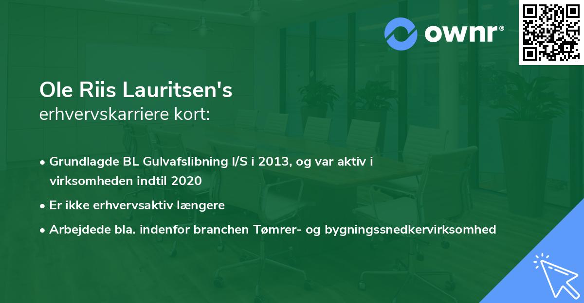 Ole Riis Lauritsen's erhvervskarriere kort