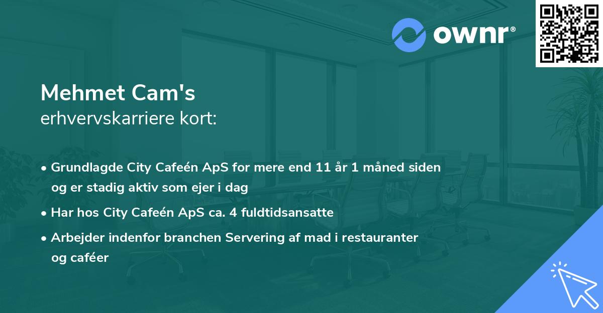 Mehmet Cam's erhvervskarriere kort