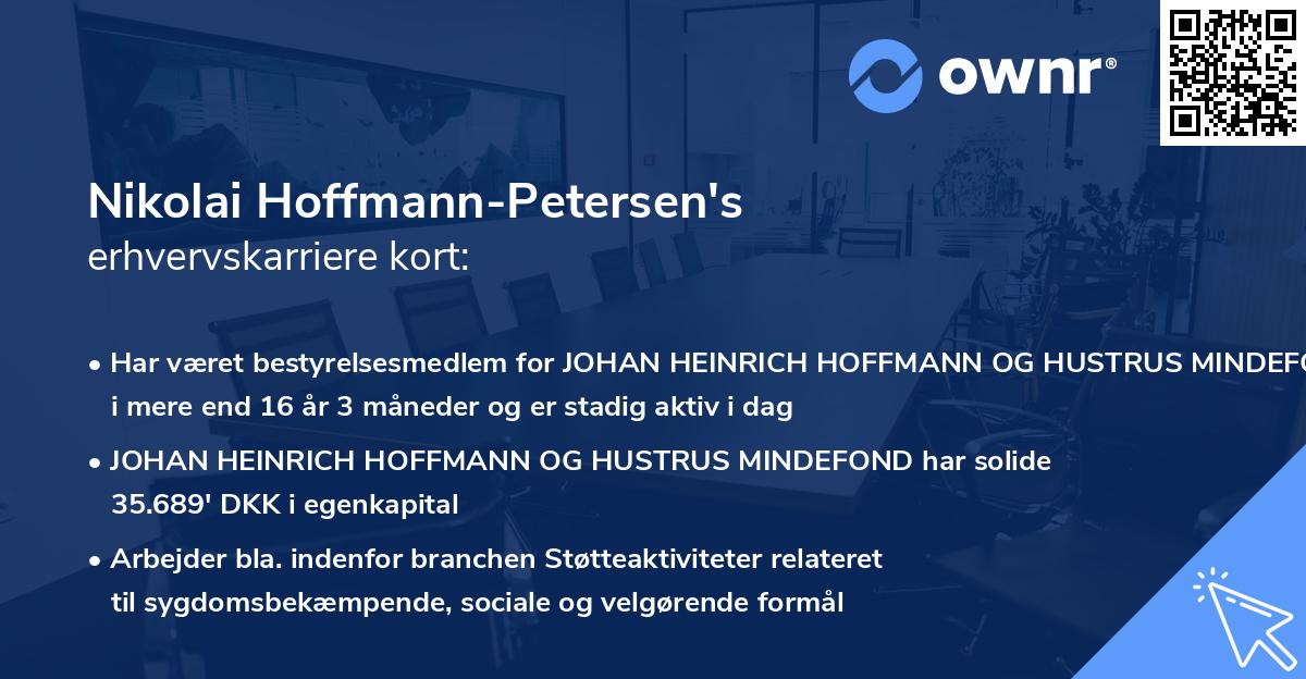 Nikolai Hoffmann-Petersen's erhvervskarriere kort
