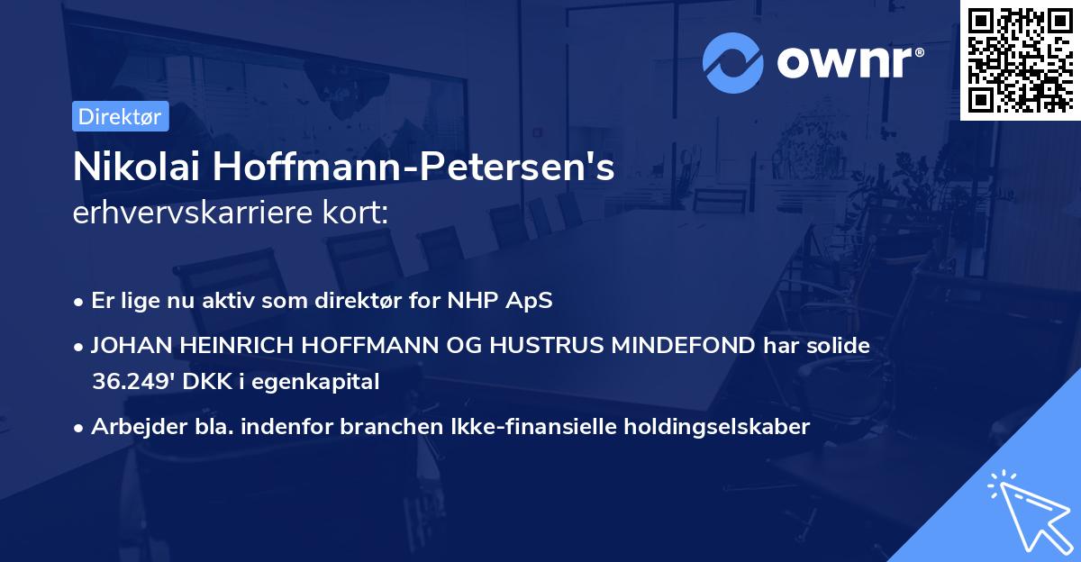 Nikolai Hoffmann-Petersen's erhvervskarriere kort