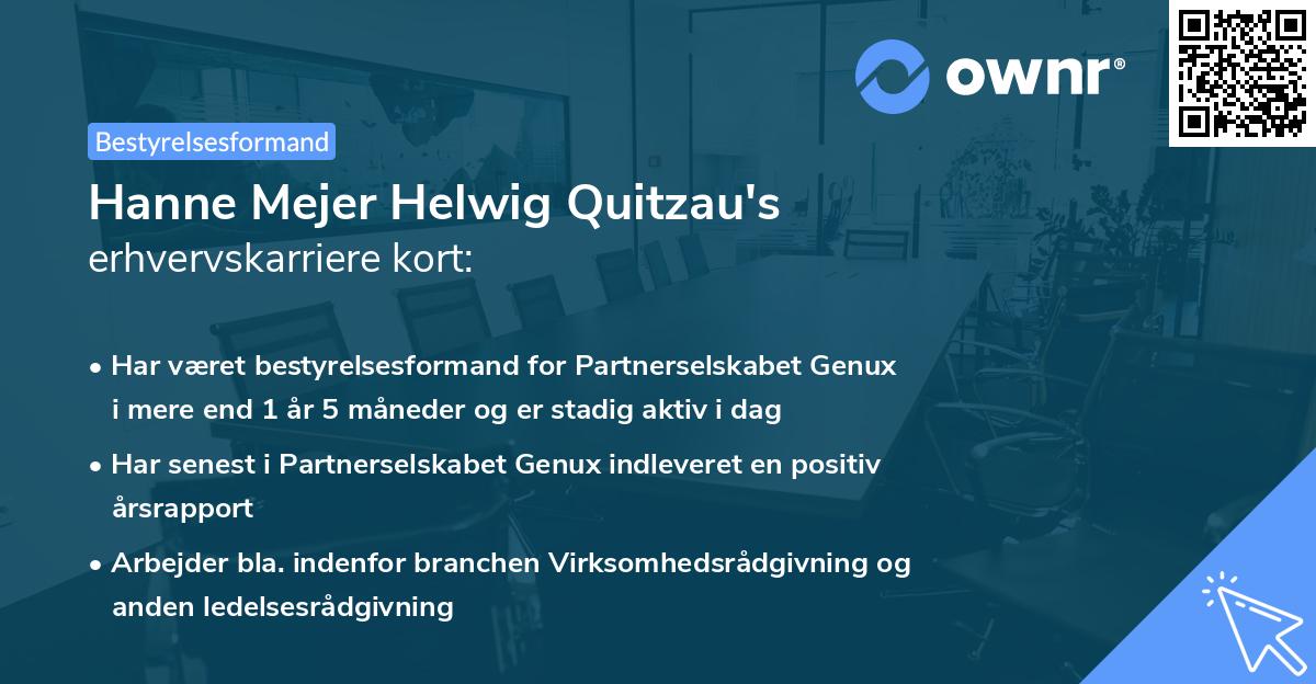 Hanne Mejer Helwig Quitzau's erhvervskarriere kort